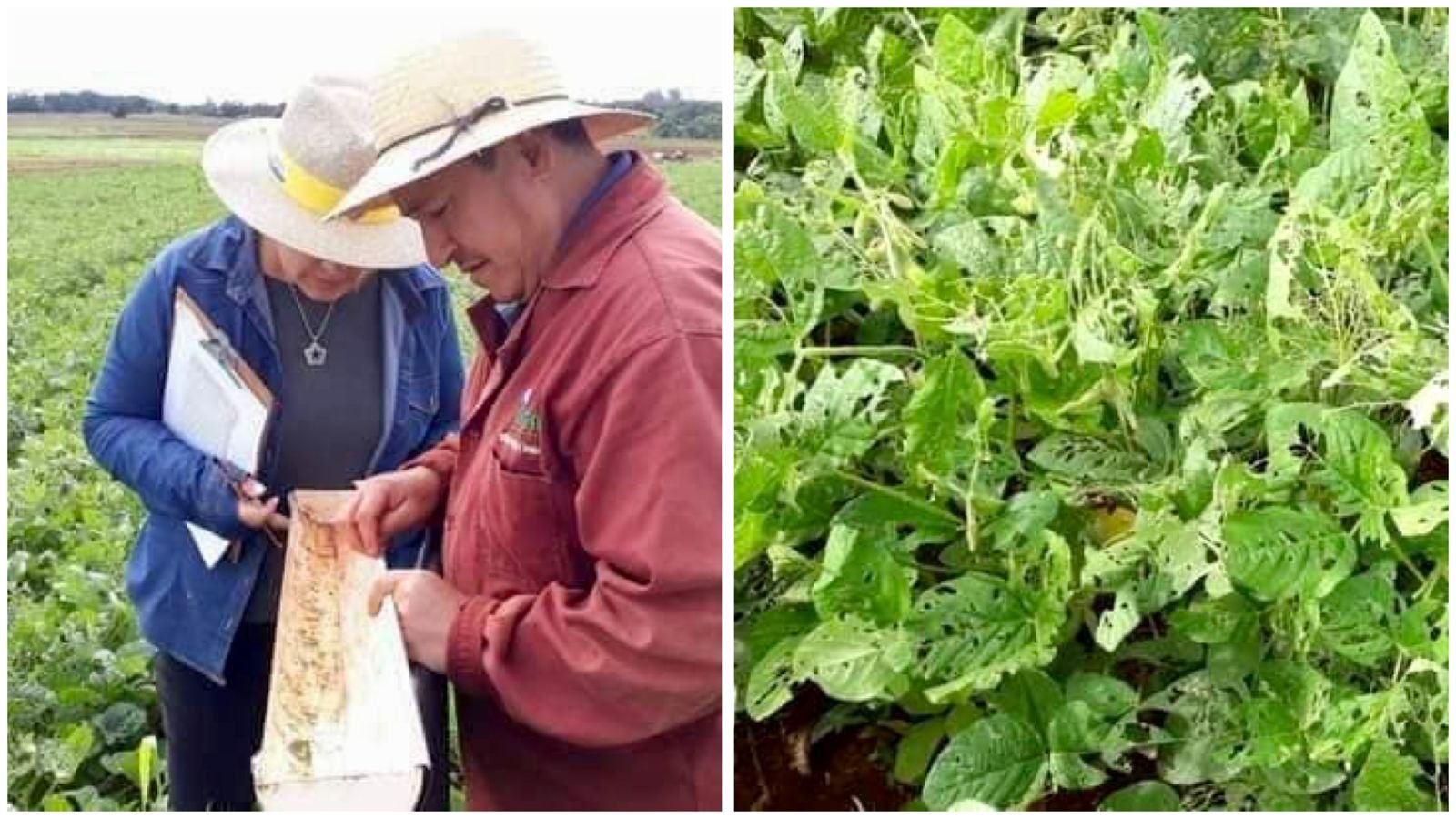 266a65f9-c1a2-4ac7-bd14-0e34dcfc45b2