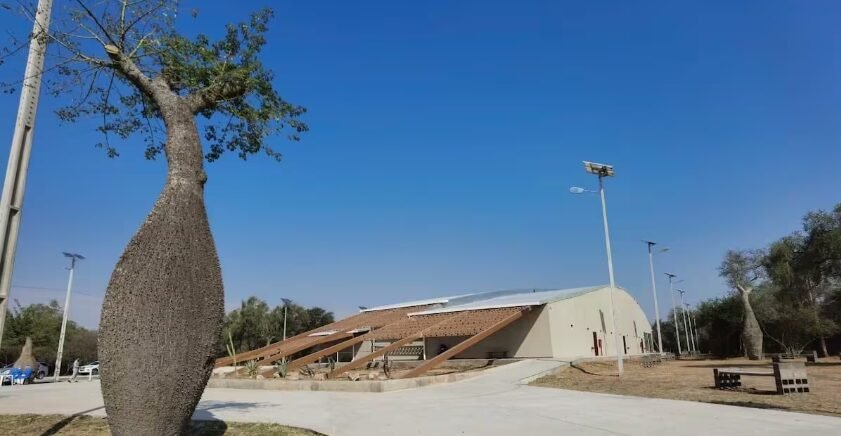 Captura-de-pantalla-2025-06-03-115103