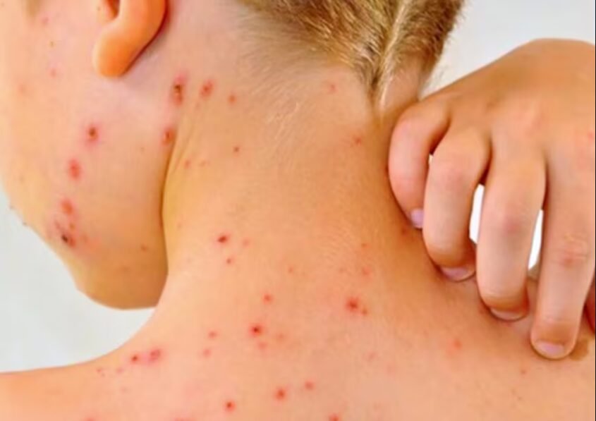 Captura-de-pantalla-2025-08-05-005058