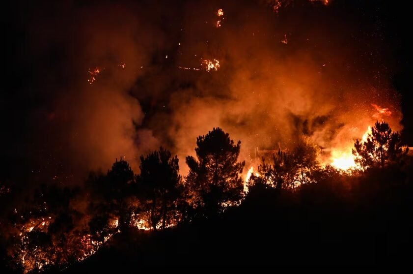 Captura-de-pantalla-2025-08-15-114958