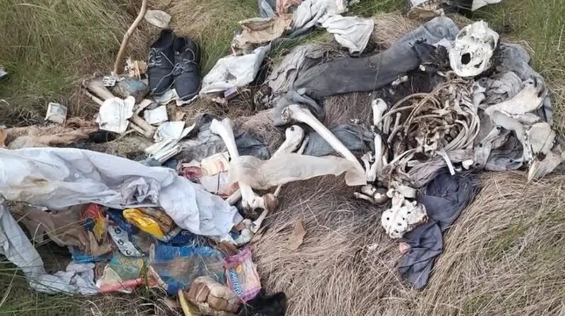 Captura-de-pantalla-2025-09-02-111136