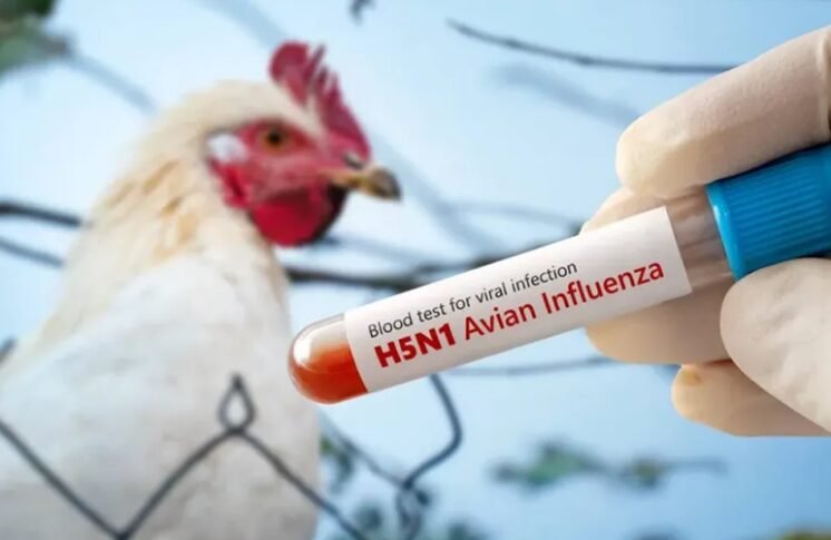 Captura-de-pantalla-2025-09-02-130314