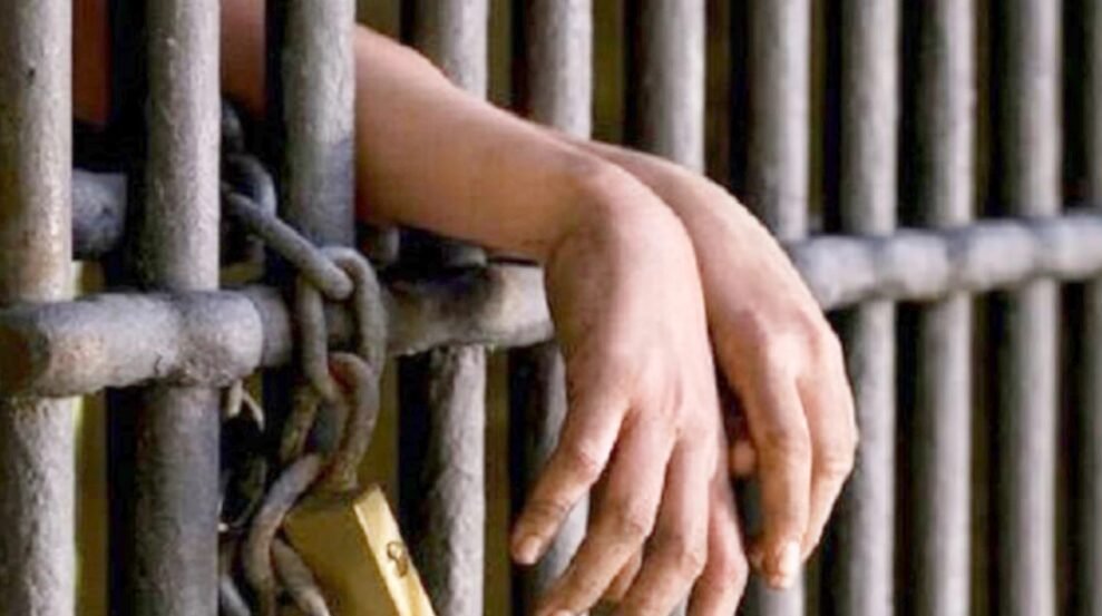 Captura-de-pantalla-2025-11-11-082545