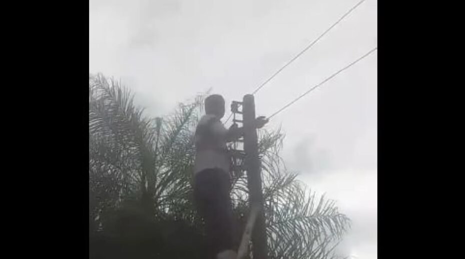 Captura-de-pantalla-2025-11-17-090723