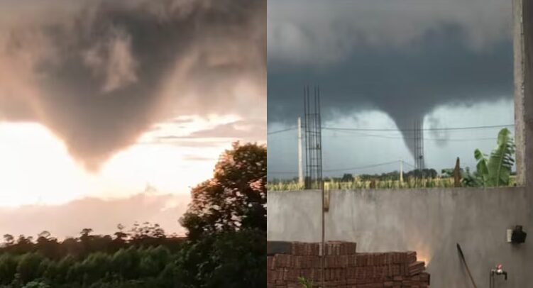 Captura-de-pantalla-2025-12-22-135012