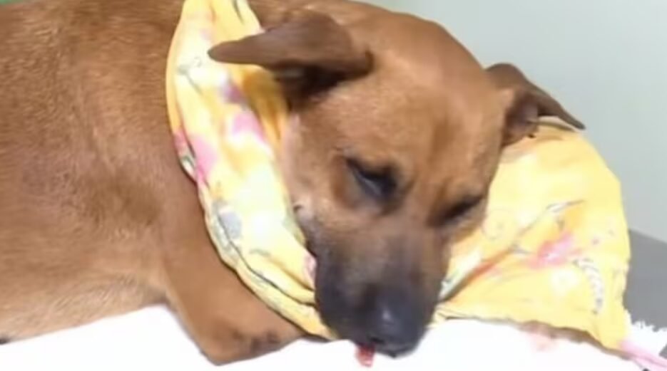 Captura-de-pantalla-2026-01-06-073225