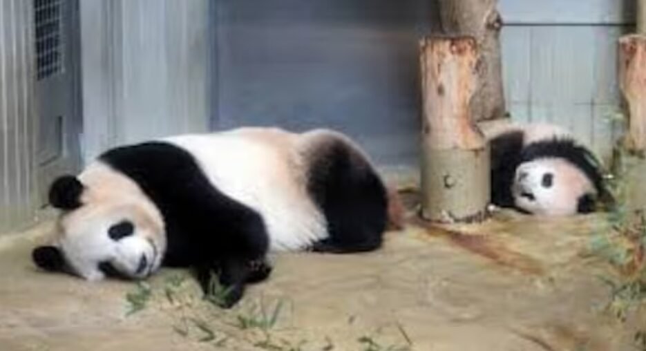 Captura-de-pantalla-2026-01-25-141905