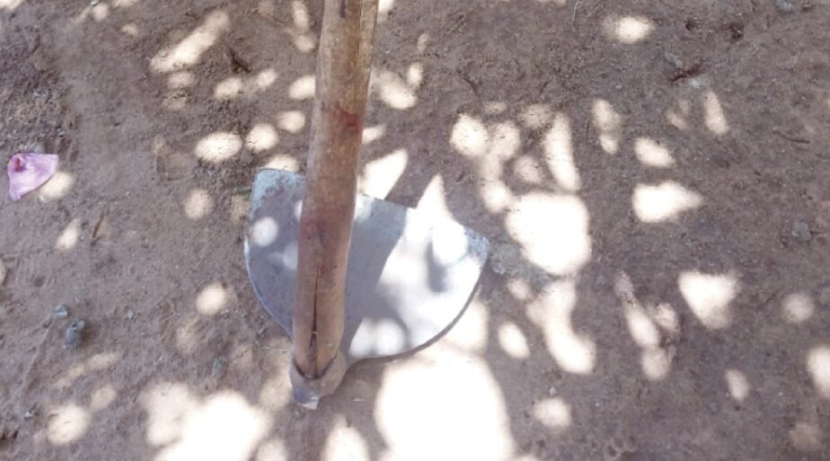 Captura-de-pantalla-2026-02-10-102113