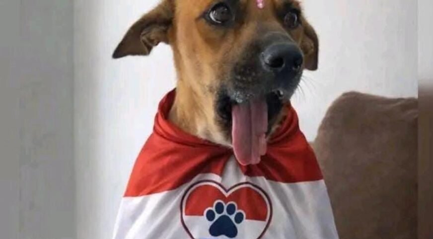 Captura de pantalla 2026 06 16 092032
